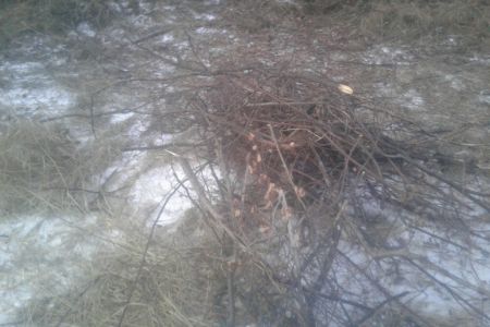 20171205_160636.jpg
